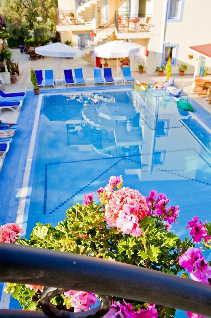 Apart Otel Merve Apartments, Your From In Bodrum, Street Cats Frequent The Property, Not Have Balconies , Ground Floor Have Terrace With Table And Chairs